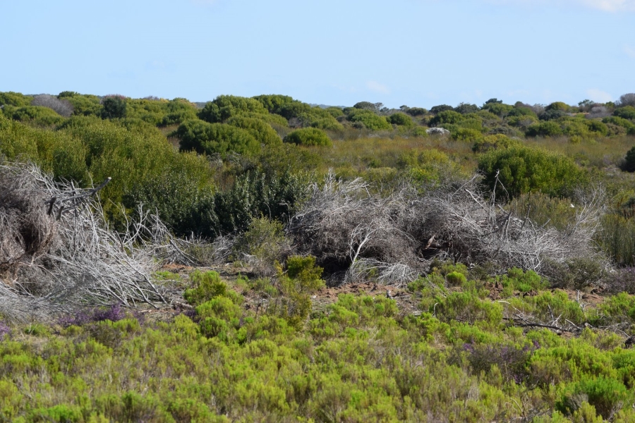  Bedroom Property for Sale in Stilbaai Rural Western Cape